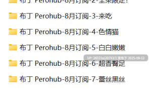 【完整原版无水】布丁大法-Perohub 25年08月订阅 [119P+14V][924MB百度云]