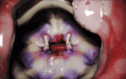 【1K/无修/无水印】新作-ATD-project ULALA JP2-1K