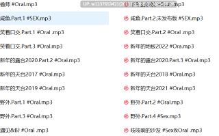  shiroat中文音声合集【1G】
