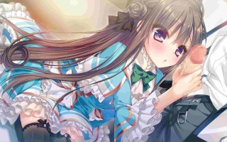 【日式ADV精翻汉化】 忘却執事と恋するお嬢様の回想録[枫笛汉化组][附汉化补丁+全CG存档【775M全CV】