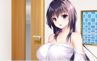 【PC/AI汉化版/ADV游戏/存档/1.20G】幸乃下萤的恋青日和:与义姐的秘密同居 Ver1.0