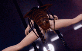 【虫奸 巨乳 后入 骑乘 内射】Kangxi - Insect Segs