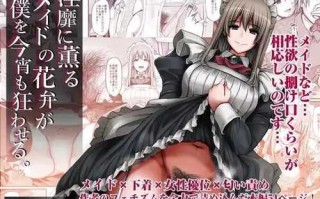 散发着淫靡气息的女仆花瓣，今晚也让我疯狂。 +DLsite 独家号外页