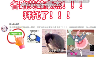 【SLG/官中/3D/PC】白鳥神社の巫女は許されぬ想いで姉を救う 官方中文+导演版 25.11.29 0时发售【3.98G】