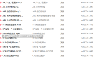 真真中文音声合集【103M】