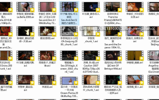 高清三级剪辑片合集 65V 14G