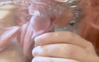 [短视频]视=12白虎女孩清洗骚穴，淫水止不住往下流