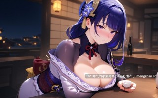 原神 雷神小合集二 [10本+2000p+2.17G]