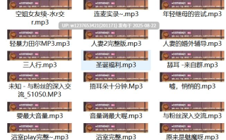 Ayo夏哟哟中文音声合集【874.47MB】