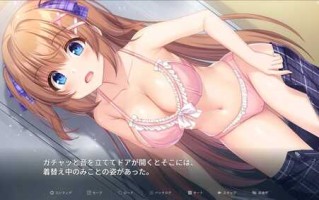 【精品RPG/汉化/动态】笨手笨脚的巫女与淫魔之岛V1.2.4 挂载AI汉化版+存档 （ドジっ子巫女と淫魔の島）