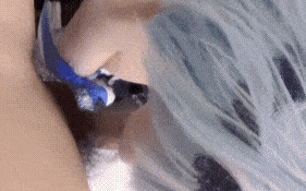 专约coser大神【Maniacccccc】最新约啪cos优菈 口交 [3v+3.9g]