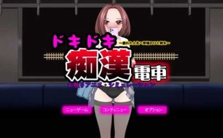 DL11月新作【互动SLG/偷摸触摸/动态】心动痴汉电车（ドキドキ痴漢電車）V1.1 AI汉化+动画【1.40G】
