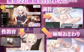  [PC/调教/萝莉/睡眠奸/有CV] 这位大小姐因对性知识的缺... [1+531M][百度盘] 