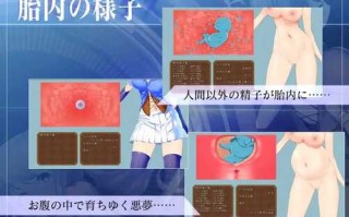 PC/ARPG/圣骑士阿尔内与魔孕的咒印  #聖騎士アルネと魔孕の呪印～Another No Tears～ v1.0.5 汉化版