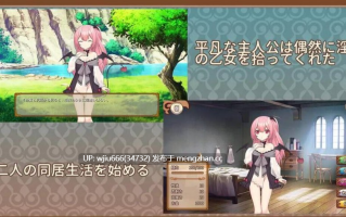 【SLG/AI机翻】サキュバスの育成方法【度盘/177M】