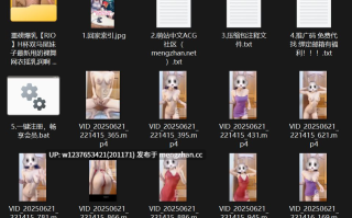 新晋裸舞八字奶极品萝莉【RIO】，小奶子甩来甩去，变装脱衣差分，很带感【5.62G】