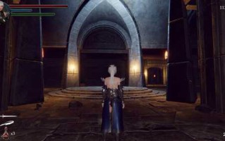 PC/3D/#地下城的女骑士  #地下城の女騎士  Steam官方中文步兵版