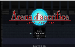 13【横版ACT全动态】献祭竞技场 Arena of sacrifice DL正式发售版 【300M新作】