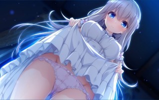 #H426   【PC游戏】[汉化硬盘版]候鸟的梦-渡り鳥のソムニウム   #GAL    