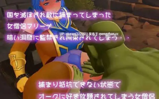 新作/本篇免费[3D游戏/3D]异世界勇者与女僧侣的平行人生/異世界勇者と女僧侶のパラレルライフ [PC+VR 2.53GB]