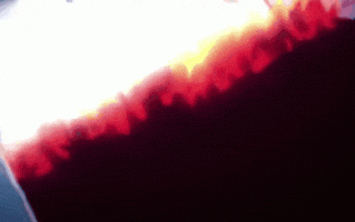 【里番】sin七大罪01（动漫解说）/09110023