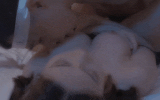 【中出 口交 乘骑 后入 爆操】【国产 麻豆 正番 原版】 MD0075/【舟合】-3367