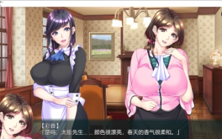 【日式/ADV/AI汉化】蠢妇～微弱的滴落声 蠢牝～仄ちやう滴り AI汉化版+存档【2.2G新作CV】【序号743】