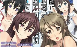  [ADV汉化] 姐姐，今年夏天 姉にこの夏 AI汉化版+全CG回想★全CV 电脑1.5G￼￼