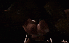 【3D 动画】4919.蜥蜴变种人在共用牢房中摧毁了 Elfette Rogue[舟合4919]