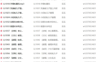 乐乐中文音声合集【741M】