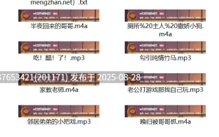 KalinaPark中文音声合集【800M】