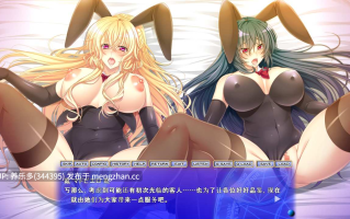 [ADV/AI汉化/PC]痴汉电车2 新婚诱饵搜查官～被盯上的成熟肉体～/痴漢電車2 新妻オトリ捜査官 ～狙われた熟れた肉体～