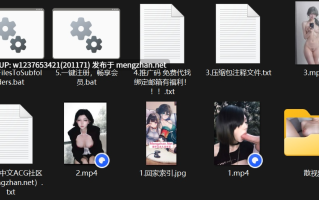 明星/网红AI脱衣系列：西瓜冰特辑-大视频剪辑版-第一弹【4.18G+4.18G（原档+剪辑）】