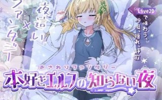 PC/SLG #生肉 #PC #动态  社团名：#ぷろおな  名称：触摸幻想 喜欢书的精灵的未知之夜