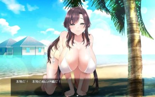 PC/SLG/驕傲偶像伊織的監禁教育    #強気なグラビアアイドルを監禁凌○ 中文汉化版