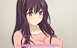 打火匣  1～2 Queen Bee 里番合集 中文字幕 熟肉  呆萌合集