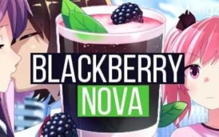 PC/SLG/BlackberryNOVA gold edition  V1.37 +DLC/STEAM官方中文