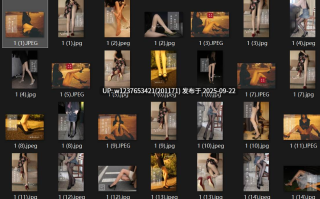 酒酒老师 54套丝袜足控 超绝美腿 户外写真合集【4.82G】