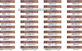 湿湿思密达中文音声合集【357M】
