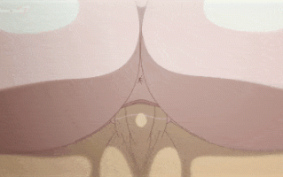 57【2D】【妖尾同人高清无码】 Shiina Ecchi 7月作妖精的尾巴露西深夜自慰被纳兹中出 怀孕西瓜肚 【100M】