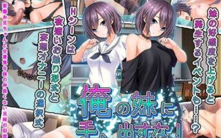 PC/SLG/别碰我的妹妹!/中文汉化版