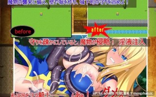 【PC/RPG/汉化】RJ183609 姬骑士米塞娅的奖励 [砂時計と鉛筆]