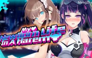 PC/SLG/重启的NTR后宫生活~MY New Born Life In A Harem~ Ver1.5/STEAM官方中文步兵版