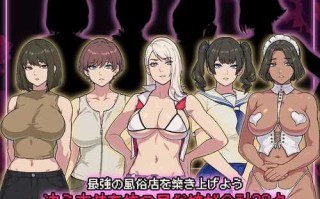 DL11月新作【经营SLG/卖春风俗/动态】破产风俗店（SUCCUBUST·サキュバスト）V1.0 AI汉化【PC+安卓-1.60G】