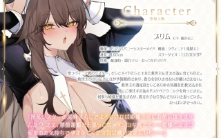 RJ01208394種付勇者《タネツケメサイア》～おねだり聖女とご奉仕シスターに種付けしてボテ腹Wバニーにするお話～