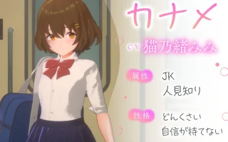 PC-3D痴◯体験 おさわりホーダイ!通学電車編