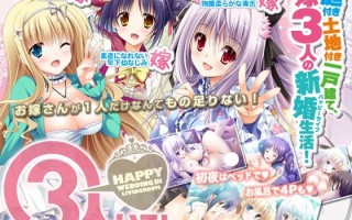 新汉化[日式ADV] 有三个人！～客厅里的幸福婚礼～ 3人いる！ ～Happy Wedding in Livingroom～AI汉化版+全CG存档 [2.90G]