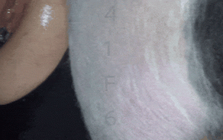 [兽X][Pig]女人和他的黑公猪