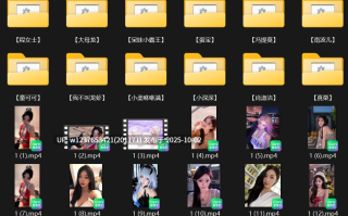 网红美女AI脱衣系列：图生短视频大合集【200V-1.12G】