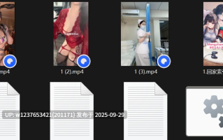 微博巨乳肥臀【小王同学】新增情趣制服黑丝抖奶自慰定制【3V756M】